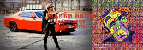 прущий лед Арсеньев