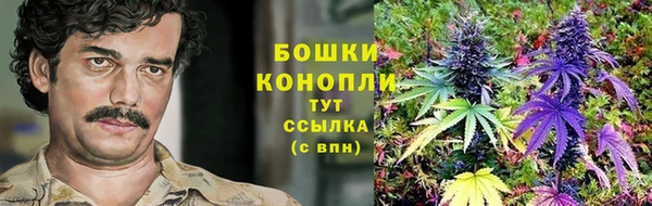 прущий лед Арсеньев