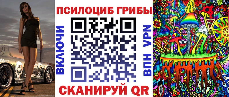 где можно купить Ахтубинск Псилоцибиновые грибы Psilocybe